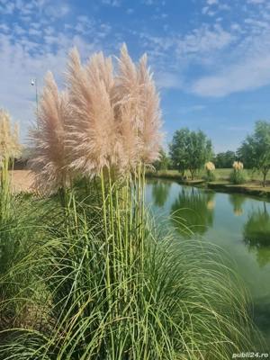 Proprietate cu clădiri multifuncționale (pensiune, baltă de pescuit, hală cu spații de depozitare). - imagine 11