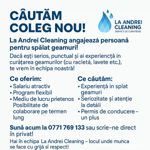 Angajam agent de curatenie!!