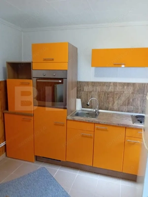 Casă individuală, 65mp utili, zona Sebes-Răhău - imagine 8