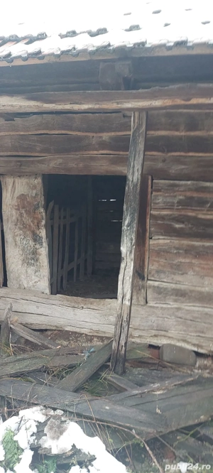Pivnița tradiționala veche de peste 100 ani