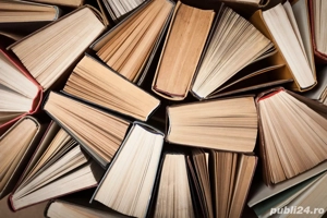 Meditații limba și literatura română