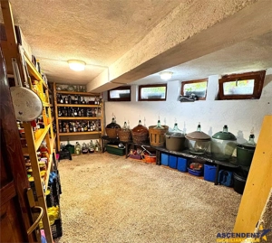 Casa in apreciabil potential,cu terase, curte,gradina echipata,2 pivnite,Str. Rodnei,Central,Targu M - imagine 16