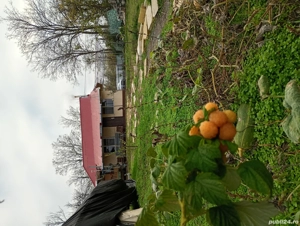 Vând casă la 20 Km de Tulcea 