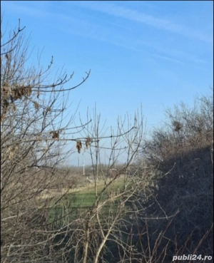 Teren Calugareni Giurgiu 2600 mp - imagine 3