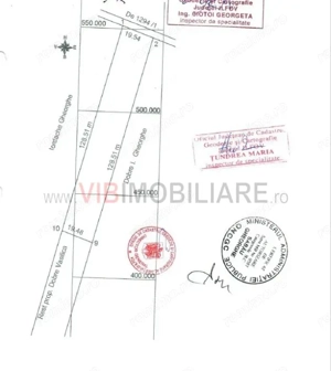 Ilfov - Cornetu - str Trandafirilor - teren 2500mp - toate utilitatile  - imagine 4