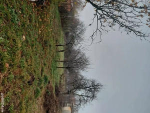 Teren intravilan perfect plat ,ideal constructie