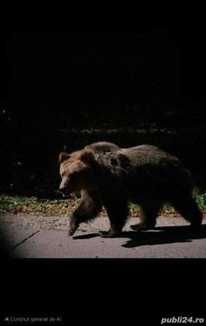 salbatic in toată firea - imagine 2