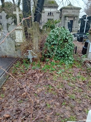 Locuri de veci Cimitirul Bellu - imagine 2