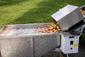 Masina de spalat fructe si legume- cu barbotare si clatire - imagine 3