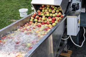 Masina de spalat fructe si legume- cu barbotare si clatire - imagine 4