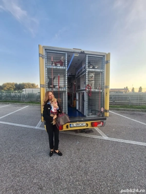 Transport premium animale de companie | România   Europa | Autospeciale Tip 2 | Închirieri - imagine 4