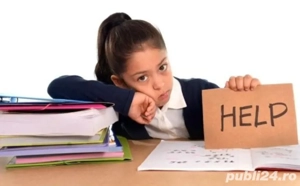 Ajutor la teme - zona Piața Hurmuzachi 