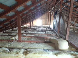 Marian Cox omul bun la toate - imagine 2