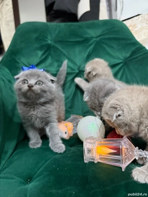 British scottish  - imagine 4