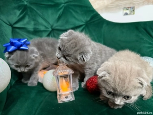 British scottish  - imagine 3