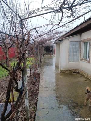 Casa De Vânzare Fetesti-Gara  - imagine 2