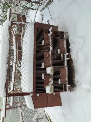 Vând cușcă de iepuri