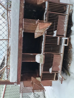 Vând cușcă de iepuri - imagine 2