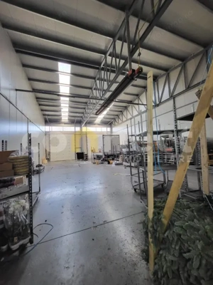 Hala 300mp+birouri 50mp - imagine 6