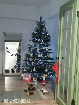 Vând apartament 3 camere ultracentral M uri Alba Iulia  - imagine 9