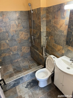 Spatiu comercial Teliu  - imagine 9