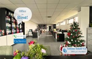 Birou de inchiriat, Nufarul - Oradea