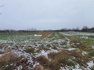 Casa de vanzare in Poclusa de Barcau - imagine 17