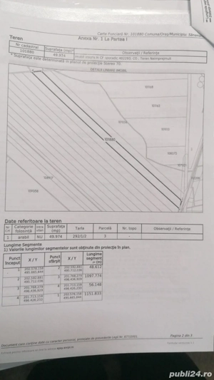 teren agricol 5 ha localitatea Carani-Sanandrei - imagine 2