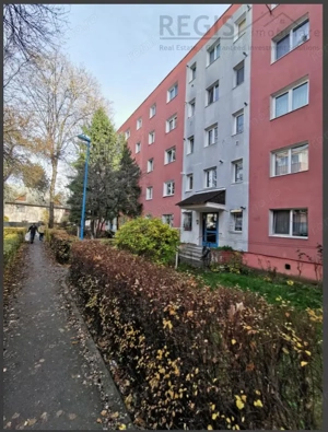 Apartament 3 camere renovat complet Grivitei - imagine 3