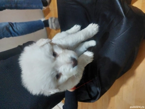 Ion Gabriela Adelina Laura  - imagine 4