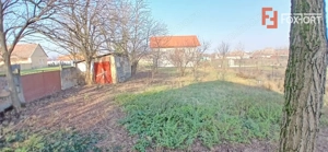 Casa individuala cu 3 camere si teren de 1500 mp - Satchinez - imagine 19