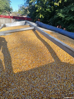 Remorca auto 9 TONE - imagine 5