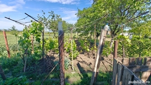 Casa de vanzare   Maracineni BZ   teren 1000mp   Pret: 110.000  neg.  - imagine 11