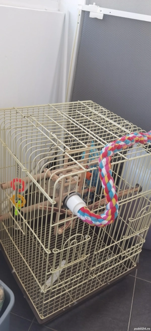 Cușcă pentru papagal  - imagine 2