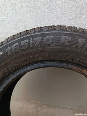 genti de tabla astept oferte schimb cu pasari  - imagine 5