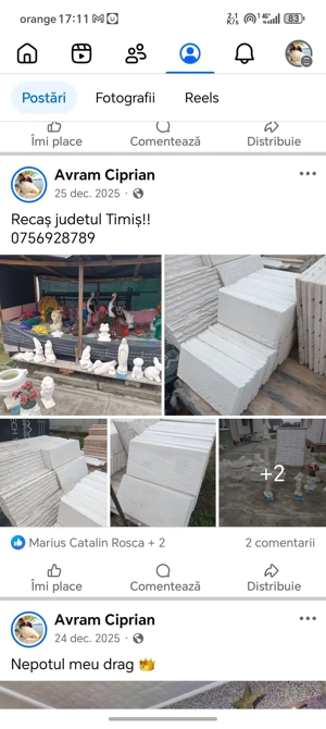 diferite modele pentru exterior 30 lei m  mozaic marmura 