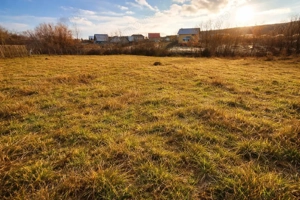 Teren 1262 m2 intravilan sau parcelat Smeura Stoenari Arges - imagine 2