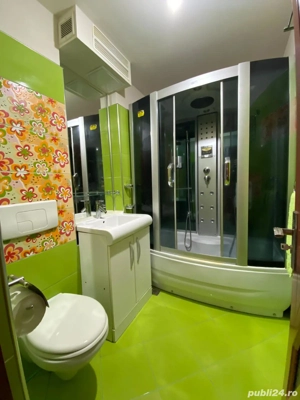 Proprietar, vand apartament cu 2 camere in Baile Herculane - imagine 7