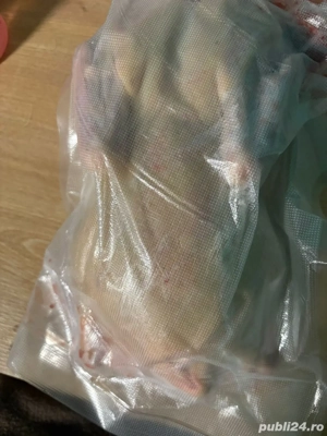 Vând carne de rață  - imagine 4