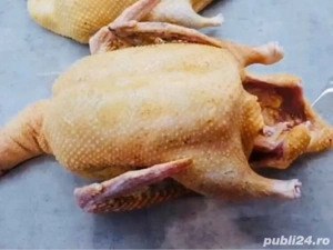 Vând carne de rață  - imagine 2