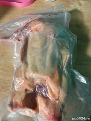 Vând carne de rață  - imagine 3
