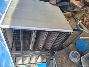 Vând container transport porumbei