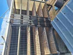 Vând container transport porumbei - imagine 3