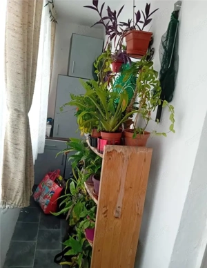 SPITALUL JUDETEAN - 3 CAM - 2 BALCOANE - CENTRALA AC - ZONA EXCELENTA - imagine 5