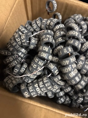 inele porumbei - imagine 2