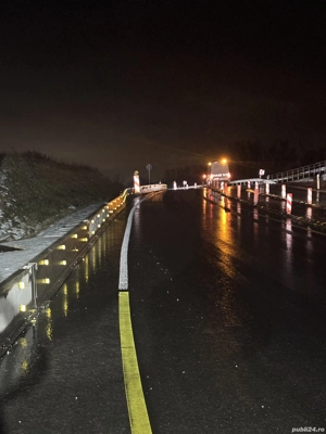 Siguranta Traffic Germania 