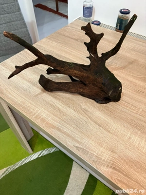 Vand Radacina Red Moor pt Acvarii - imagine 2