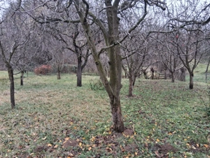 Casa cu 1000 m2 teren, 40 km Sinaia, 15km Pucioasa - imagine 4