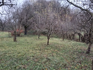 Casa cu 1000 m2 teren, 40 km Sinaia, 15km Pucioasa - imagine 3