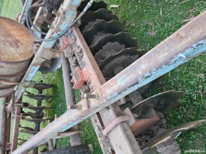 Disc bun de Piatra Neamt